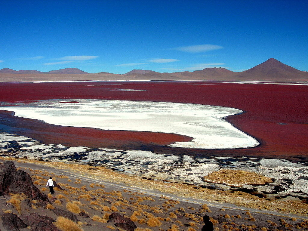 Laguna Colorada